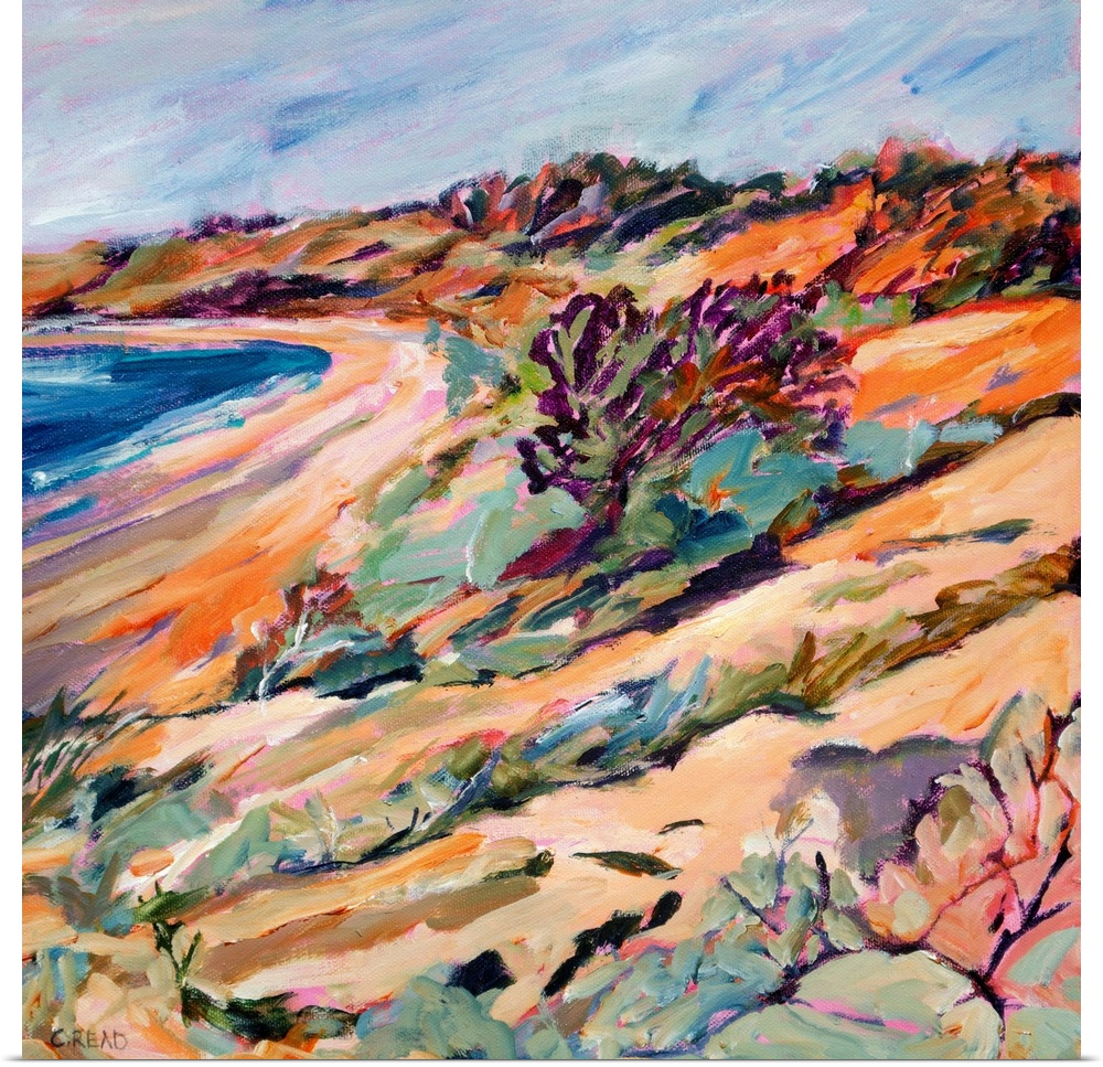 Coastal view with beach, sea, and sand dune vegetation in pinks, purpless and blues.