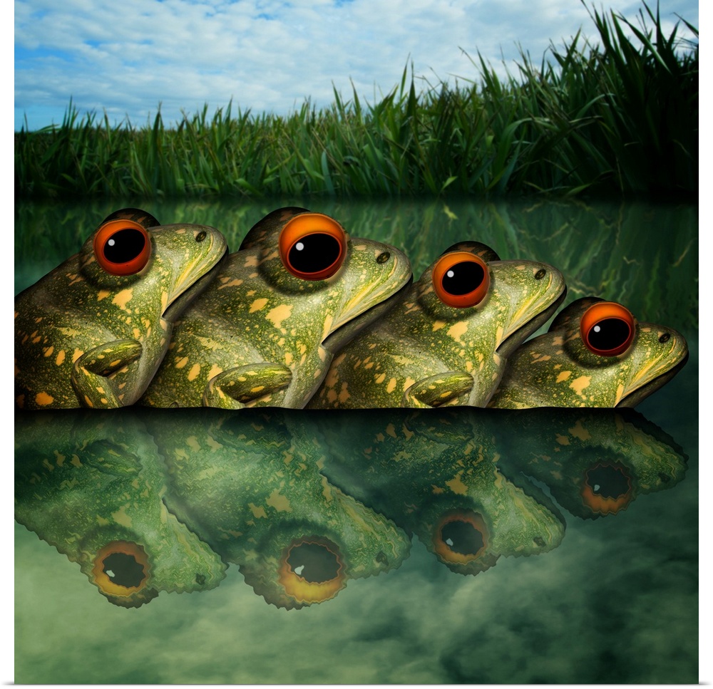 A group of frogs is called an army! Here is an army of frogs.
