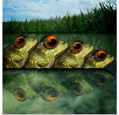 Army Of Frogs