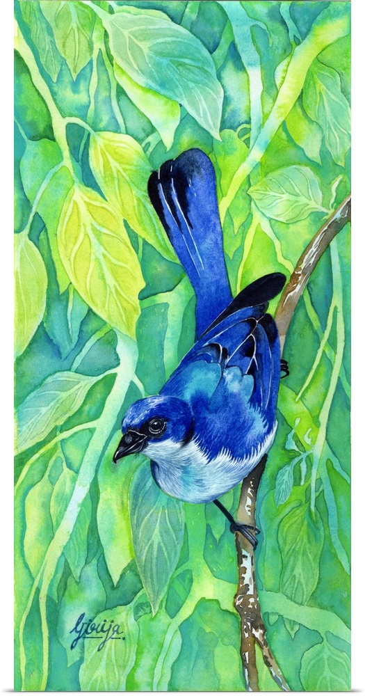 This beautiful blue bird is painted in watercolor on paper with bright yellow green background of leaves.