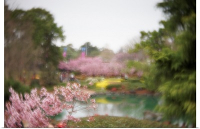 Cherry Blossom Garden