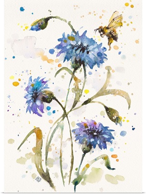 Cornflower and Bumblebee Dance