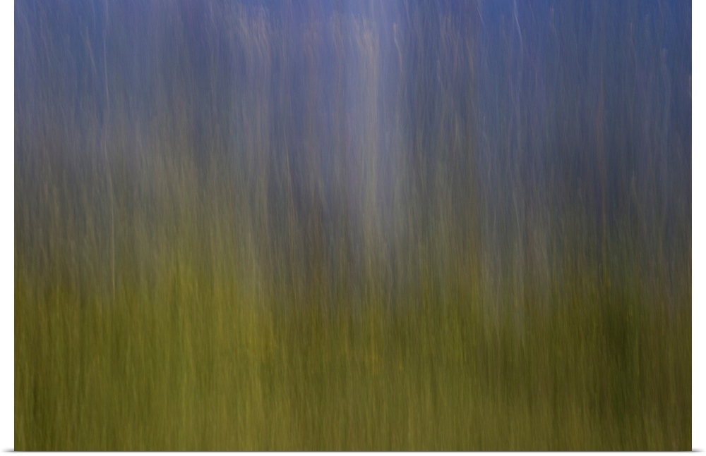 Impressionist photograph of a dreamy blue and green ambience.
