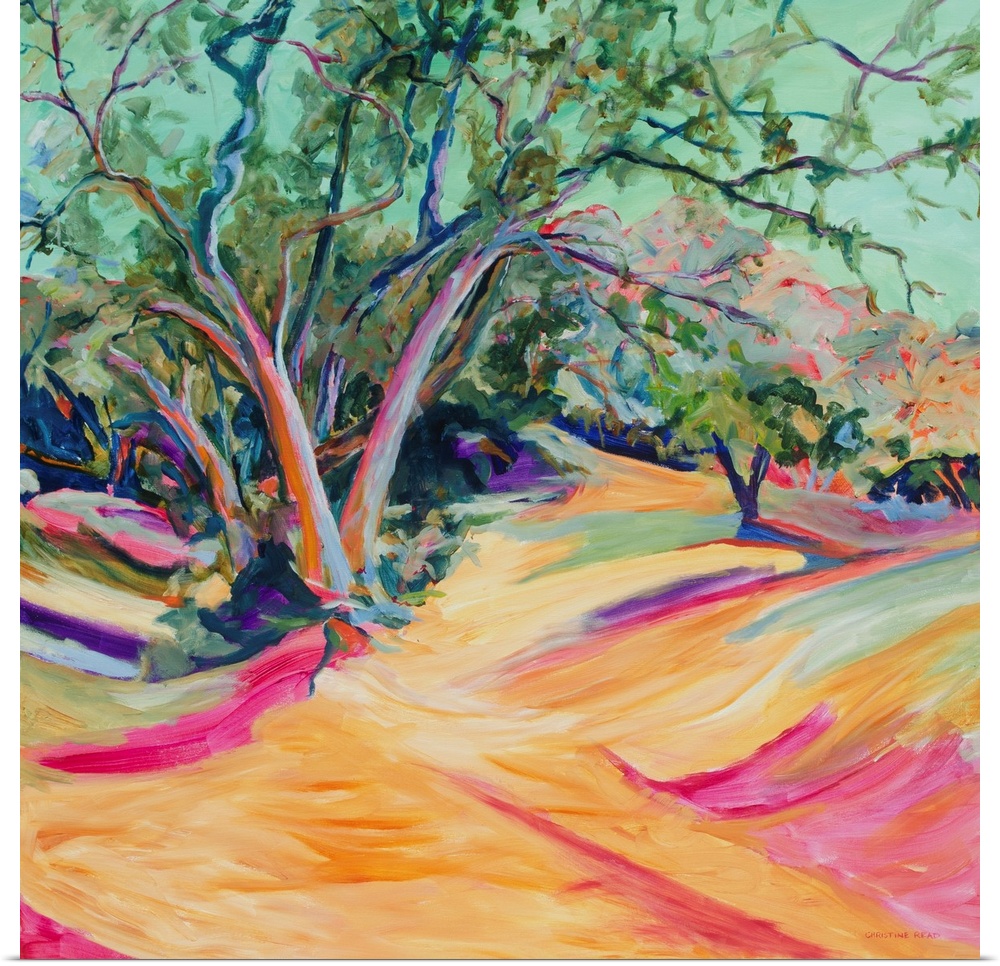 A contemporary landscape with trees in an outback and a pink creek bed with deep shadows.