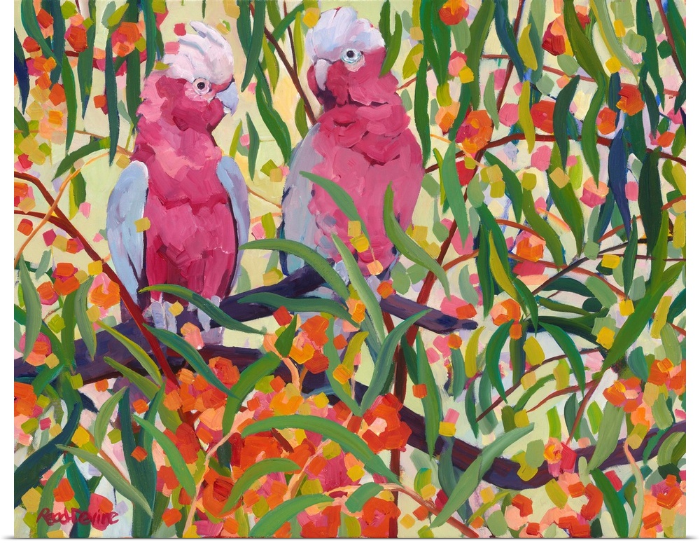 Impressionist painting of two pink and grey cockatoos sitting in a eucalyptus tree with orange flowers.