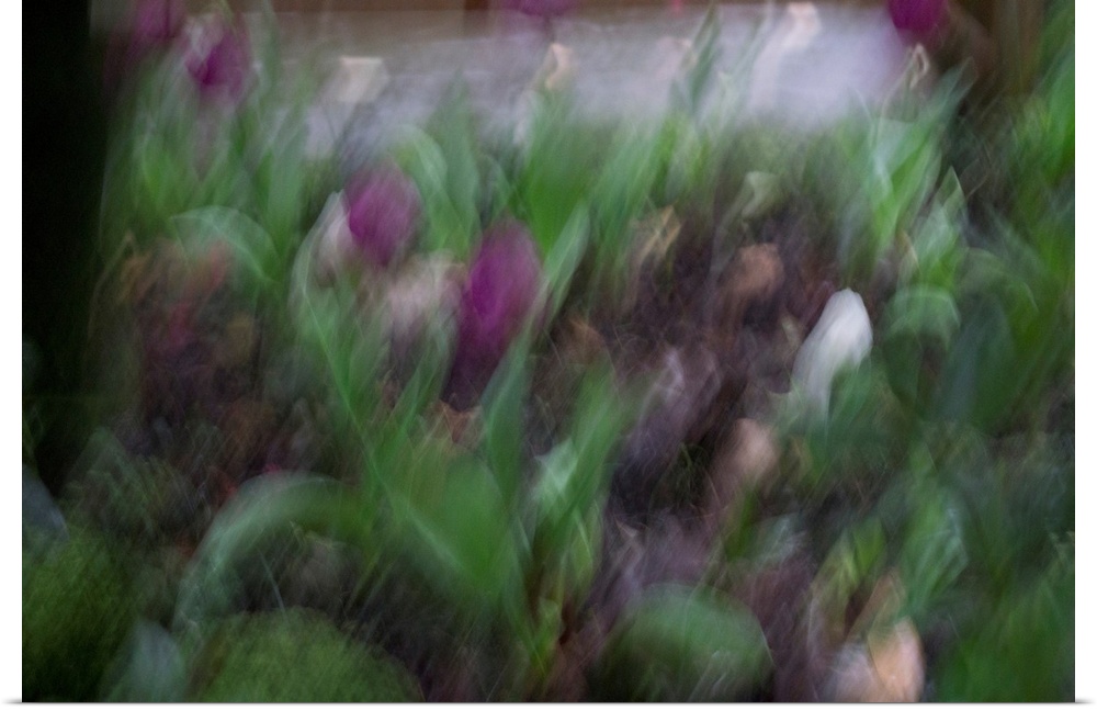 Impressionist photograph of a garden with intentional movement.