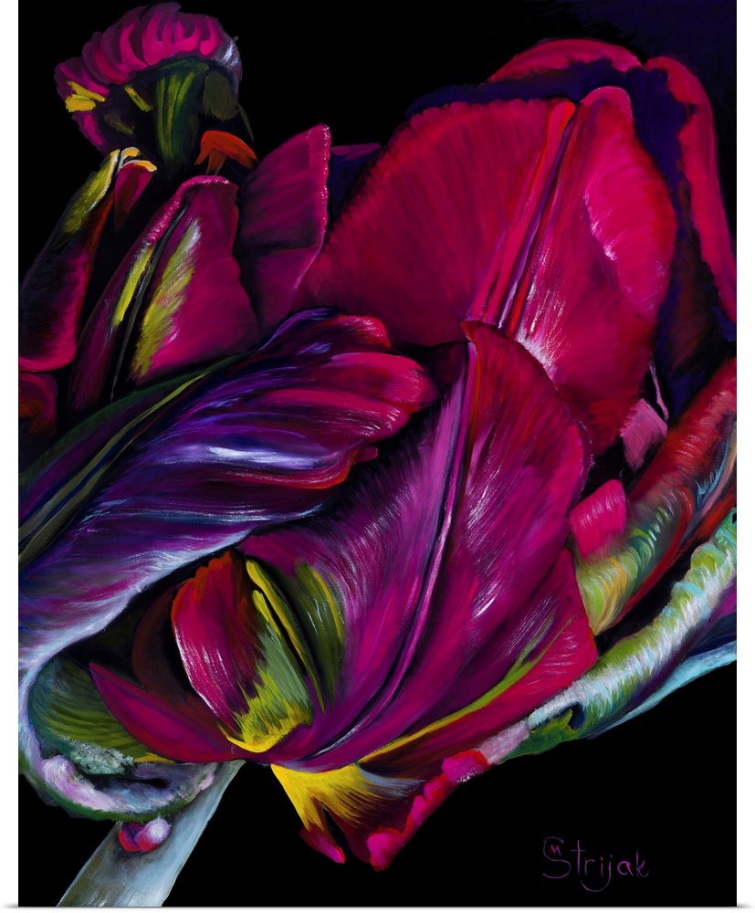Red parrot tulips are intricate, delicate, and beautiful flowers. In this painting, the black background makes the transit...