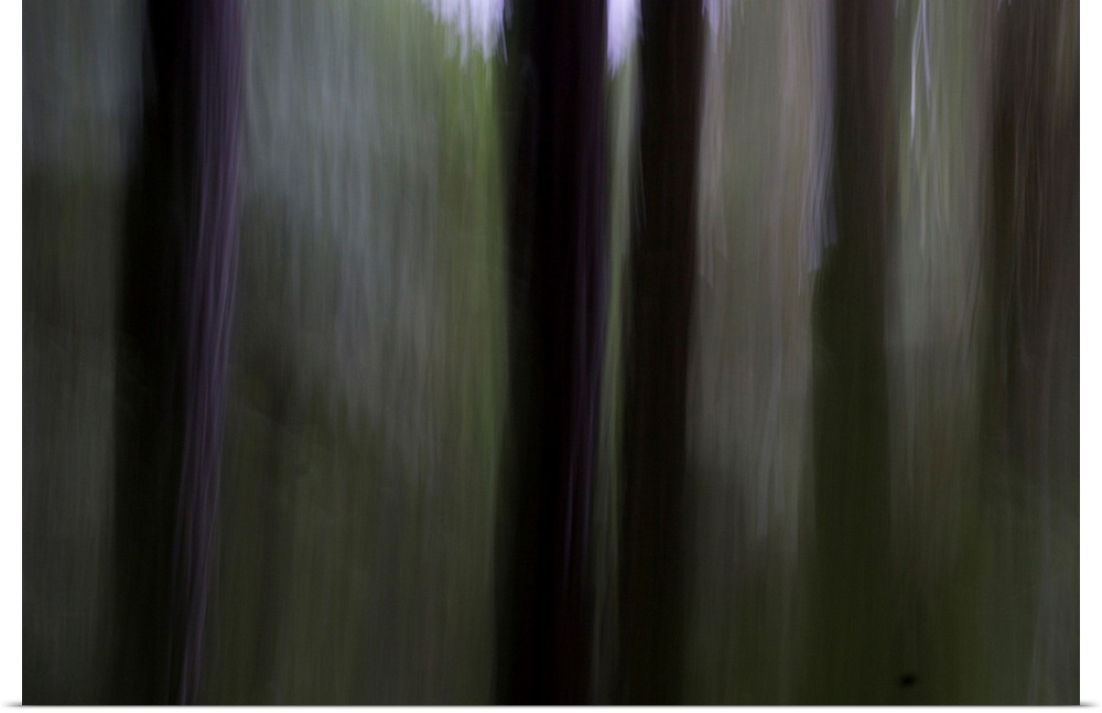 Impressionist photograph of trees