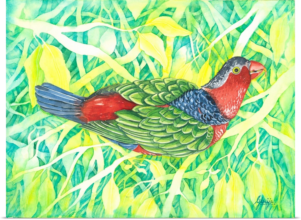 The australian king parrot has a red, blue, green, gray, yellow like rainbow colors, painted in watercolor on paper with b...