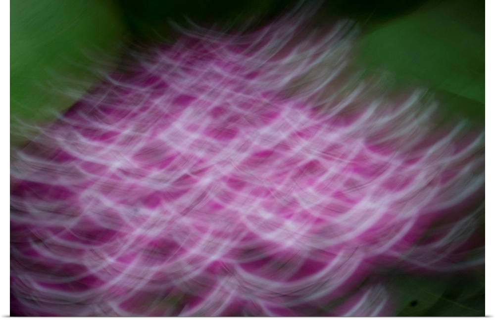 Impressionist photograph of a group of flowers.