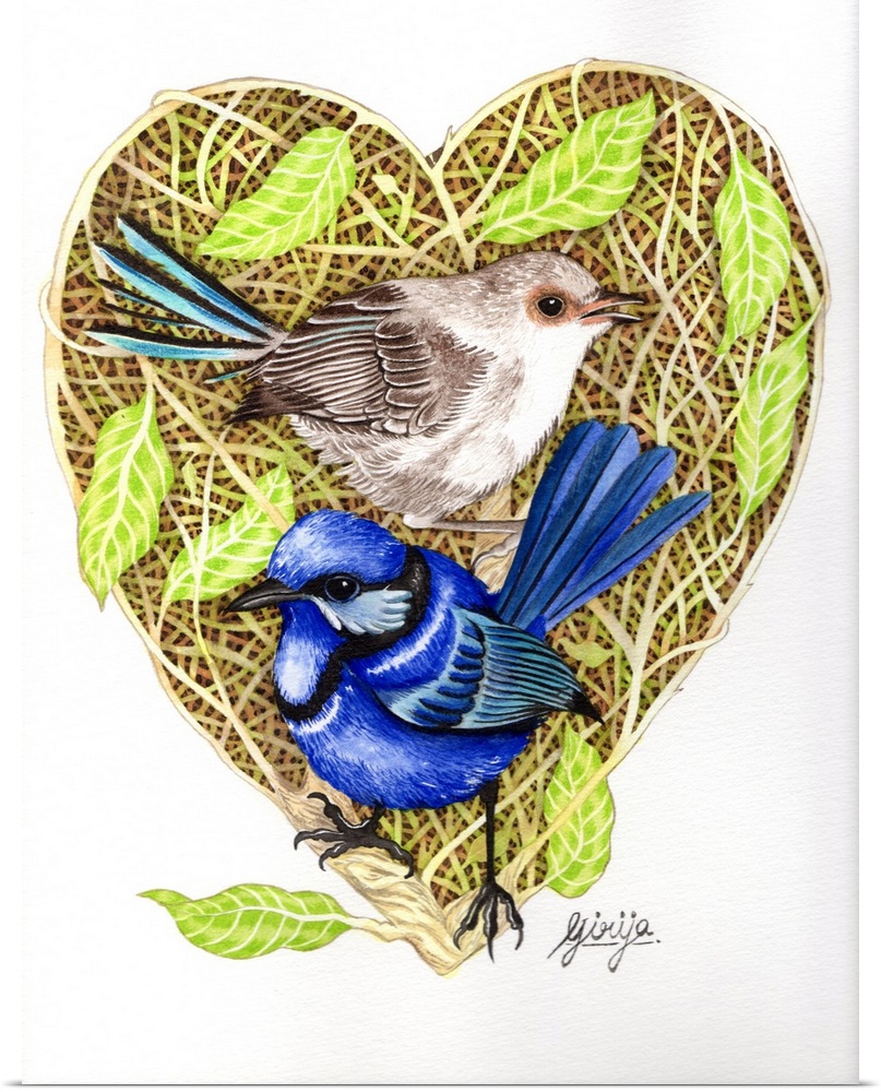 The superb fairywren pair is painted against the heart shape woods in watercolor on paper.