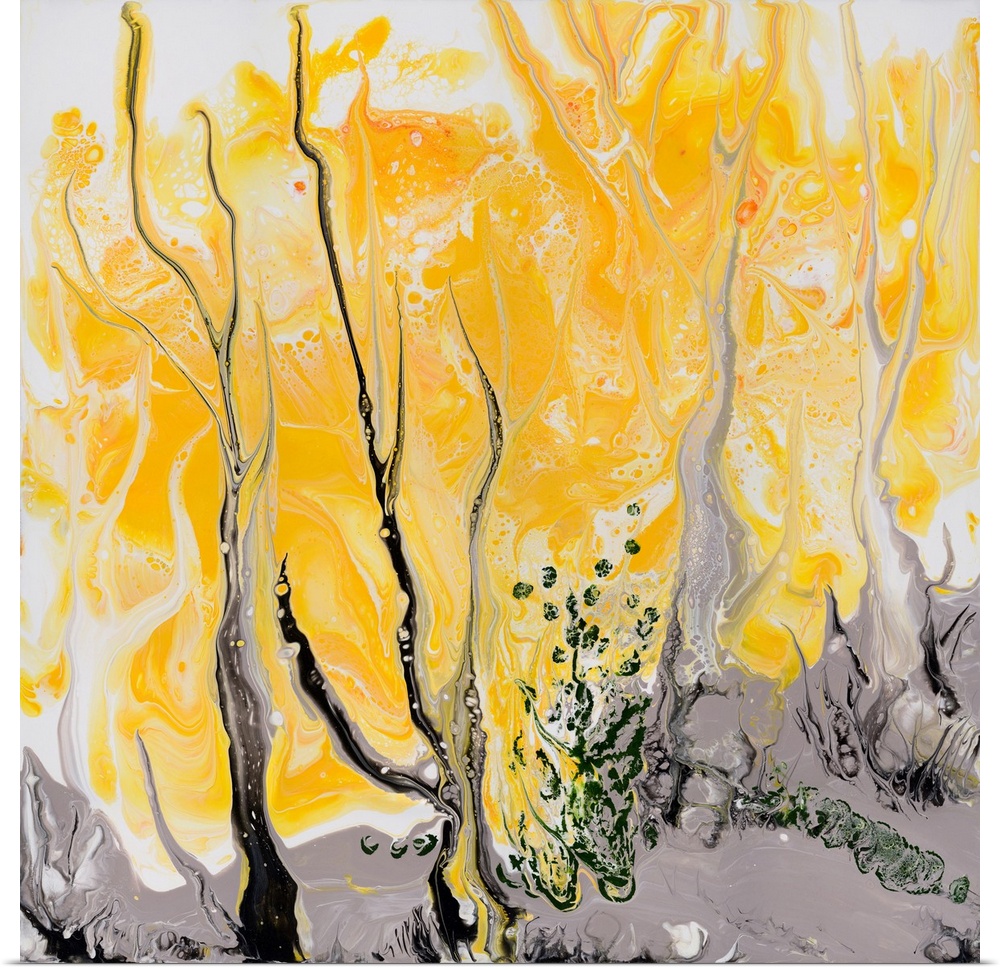 Pour painting of the blooming wattle trees with bright amber crones that are thick enough to cover the trucks almost entir...