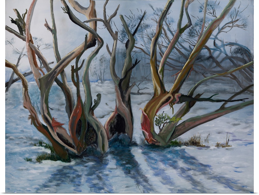 Landscape painting of the eucalyptus trees in snowy mountains, Australia, enduring short, yet cold winter.