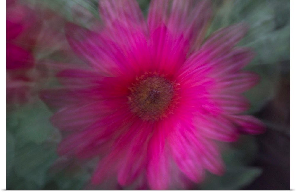 Impressionist photograph of a flower with special effects.