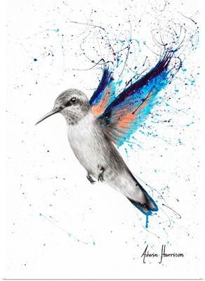 Azul Hummingbird