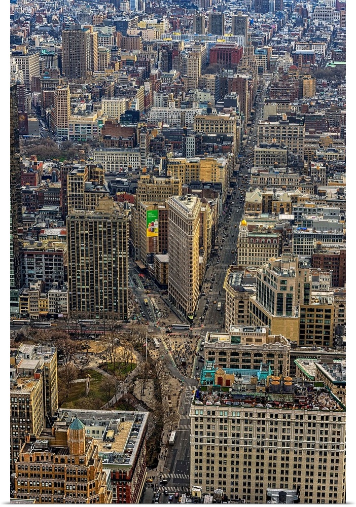 Flat Iron View From Empire State Building