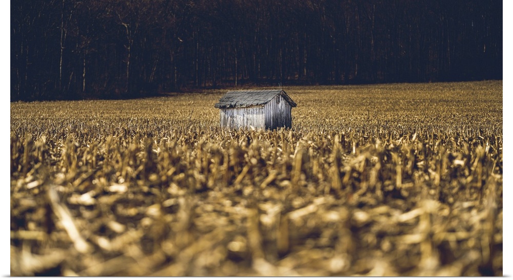 Small Shed In The Field