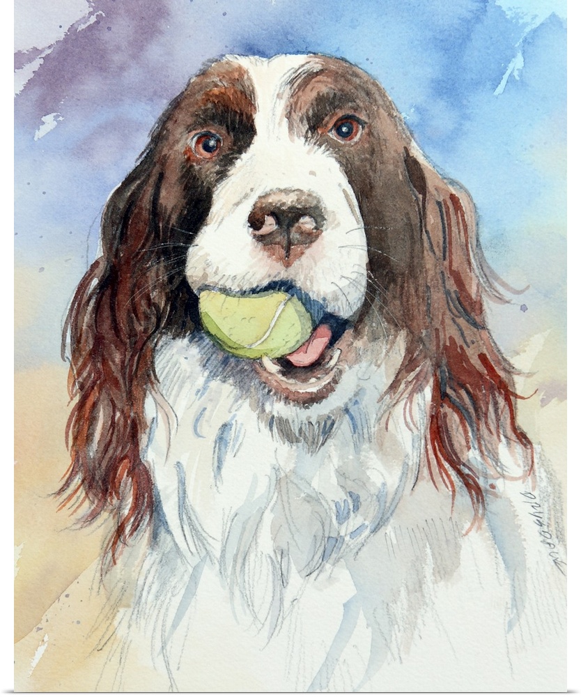 Watercolor painting of a spaniel with a tennis ball in its mouth on a colorful background.