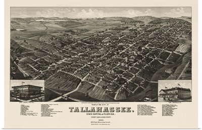 Vintage Birds Eye View Map of Tallahassee, Florida
