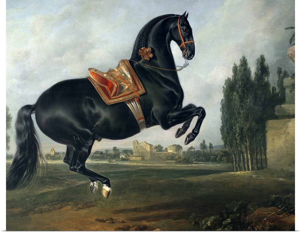 XAM65652 A black horse performing the Courbette (oil on canvas) (for detail see 264709)  by Hamilton, Johann Georg (1672-1...