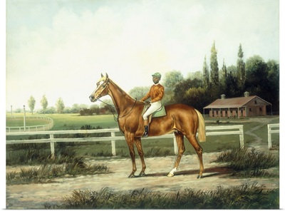 A Chestnut Racehorse with Jockey Up on a Training Track with Stables Beyond