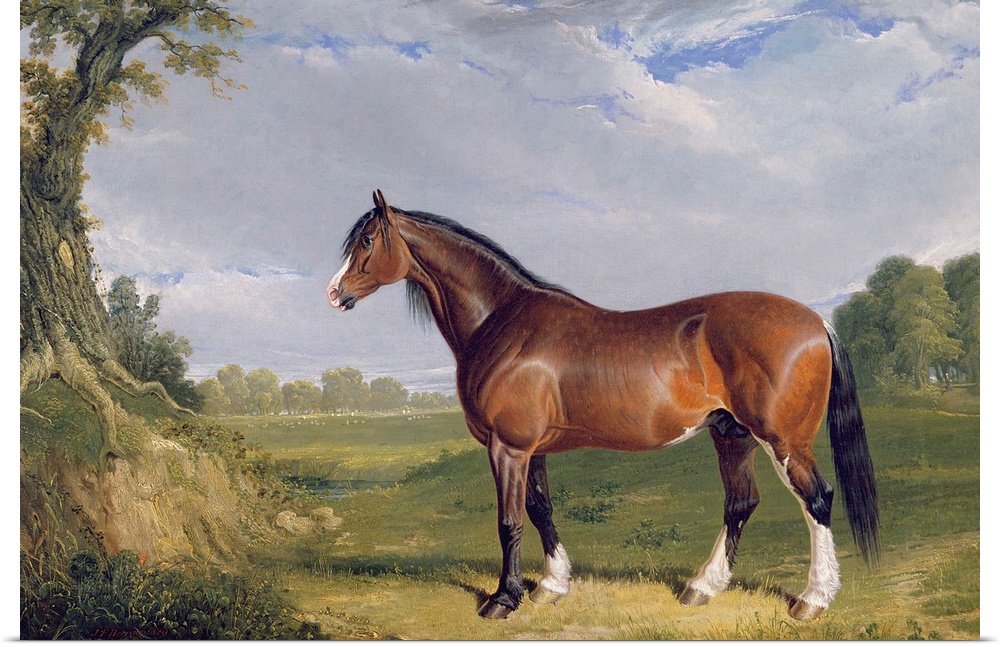 A Clydesdale Stallion, 1820 (oil on canvas)  by Herring Snr, John Frederick (1795-1865)