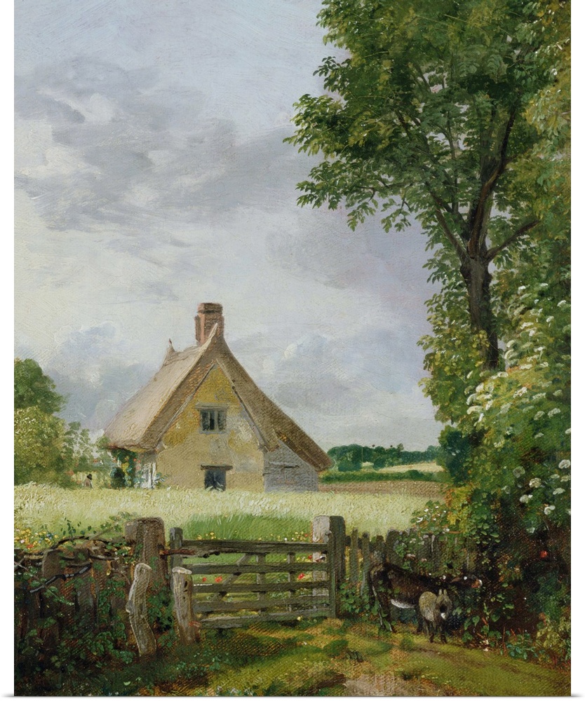 NGW186824 Credit: A Cottage in a Cornfield, 1817 (oil on canvas) by John Constable (1776-1837)A National Museum Wales/ The...