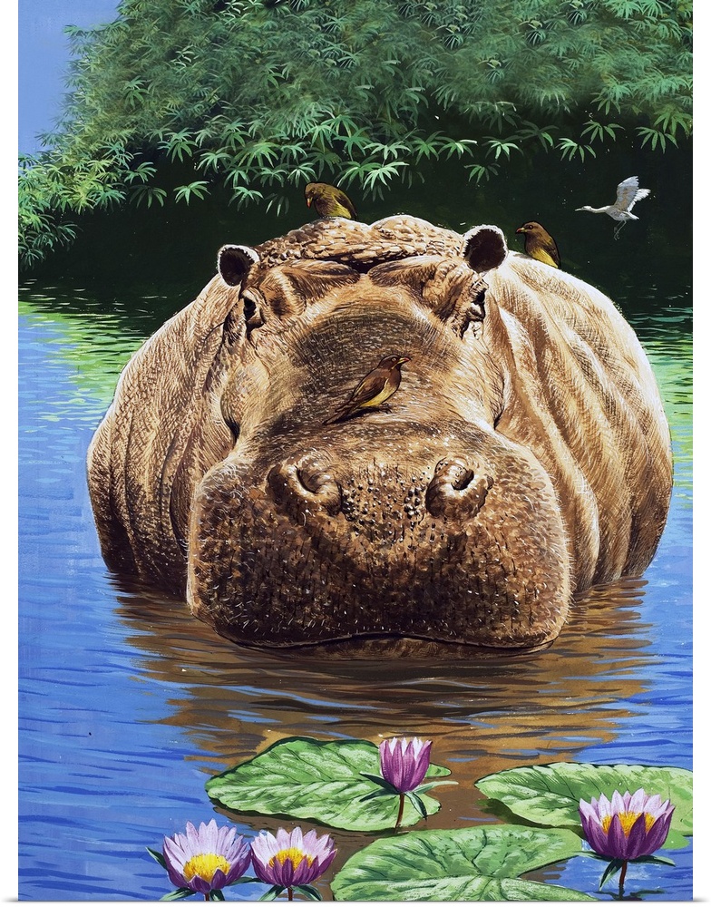 Nature Wonderland: A Happy Hippo. Original artwork for "Treasure," issue 49, 20 September 1969.