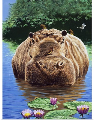 A Happy Hippo, illustration from 'Nature's Wonderland', 1969