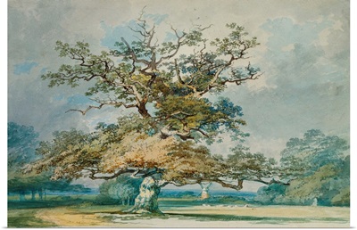 A Landscape with an Old Oak Tree