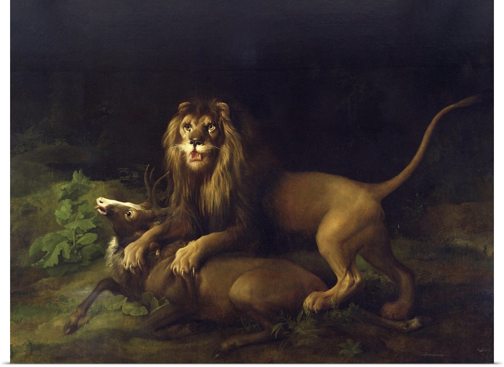 Painting by George Stubbs of a lion attacking a stag.