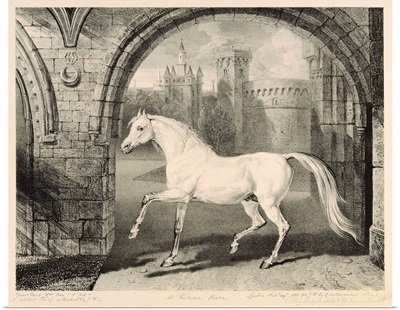 A Persian Horse, from 'Celebrated Horses', a set of fourteen racing prints