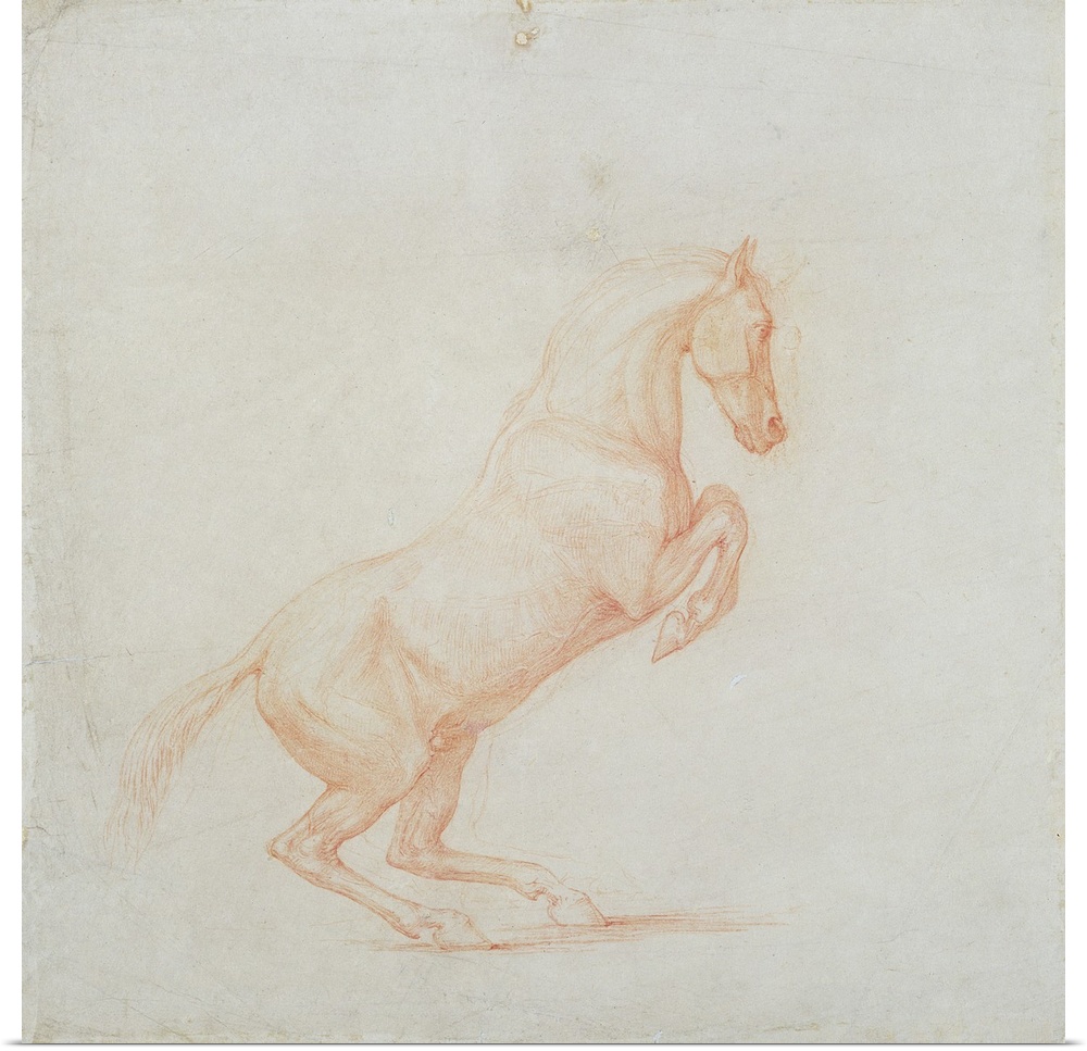 A Prancing Horse, facing right, 1790