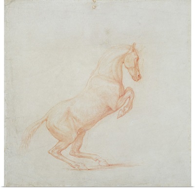 A Prancing Horse, facing right, 1790
