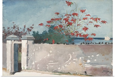 A Wall, Nassau, 1898