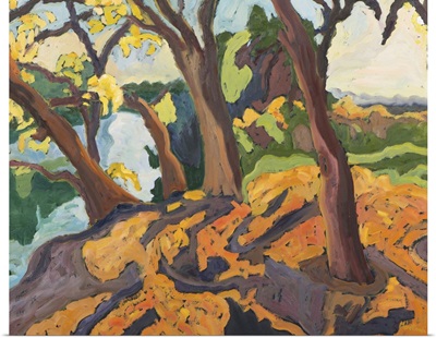 Aging Trees, 2009