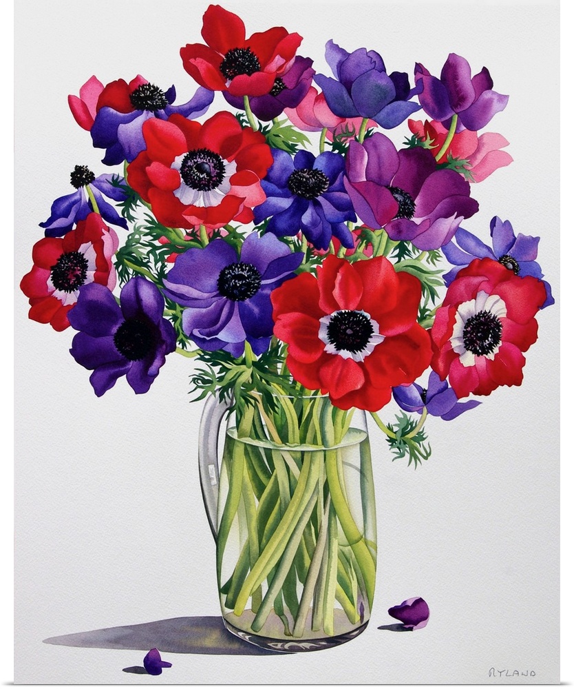 Anemones in a Glass Jug, 2007
