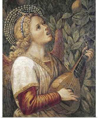 Angel Musician