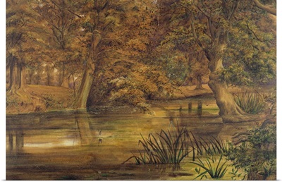 Back Water of the Bratford, 1864