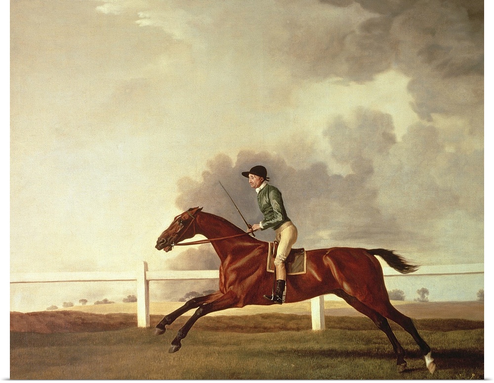 BAL2028 Bay Malton with John Singleton Up, c.1767 (oil on canvas)  by Stubbs, George (1724-1806); Private Collection; Engl...