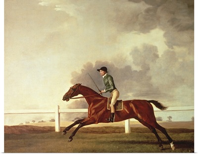 Bay Malton with John Singleton Up, c.1767