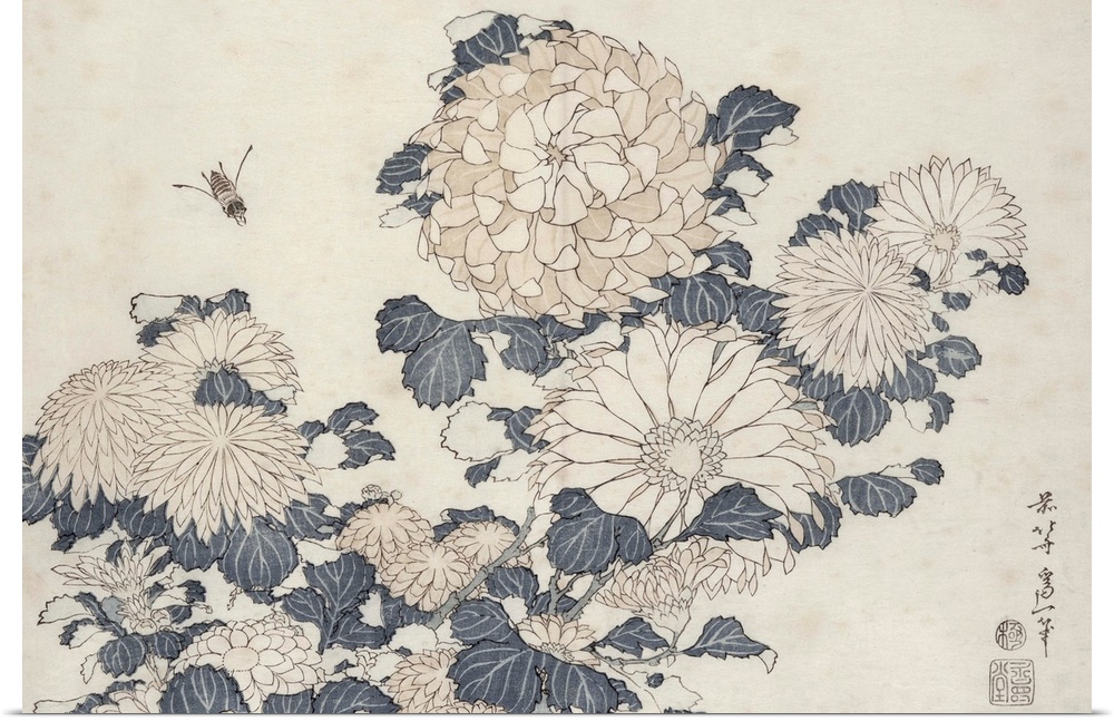 Bee and chrysanthemums, from the series Big Flowers