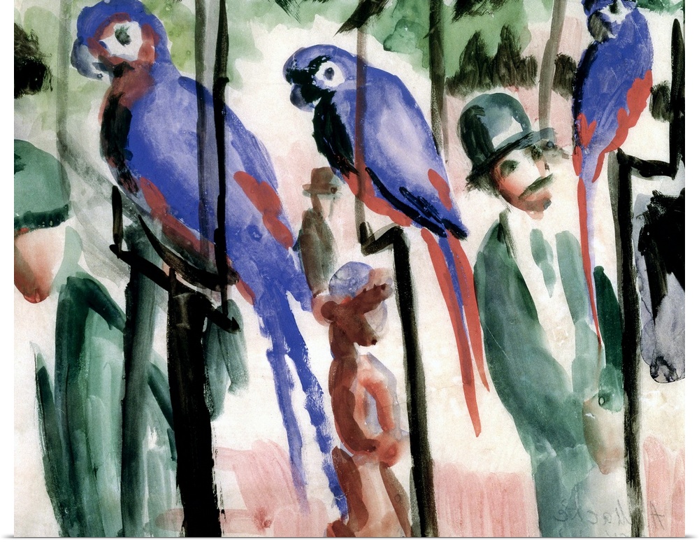 BAL41025 Blue Parrots (w/c on paper)  by Macke, August (1887-1914); watercolour on paper; Stadtisches Museum, Mulheim, Ger...