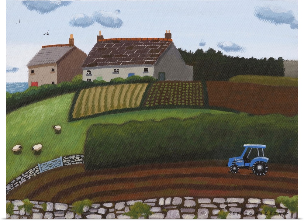Blue Tractor, Sheep And Farmhouse