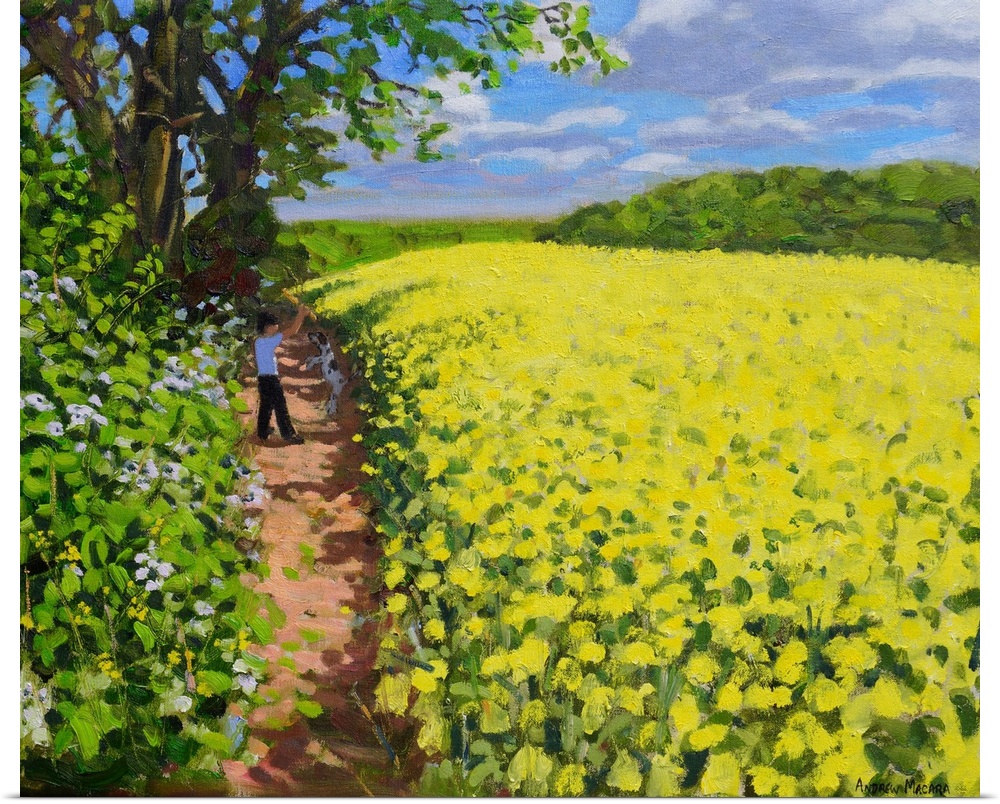 Boy and his dog, Radbourne, Derby, 2014 (originally oil on canvas) by Macara, Andrew