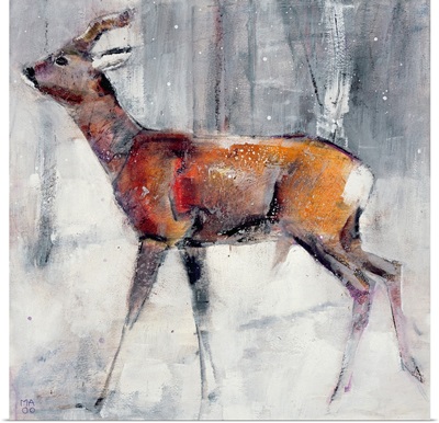 Buck in the snow, 2000