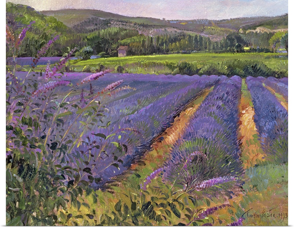Contemporary artwork of a lavender field that shows the flower close up with trees and hills seen off in a distance.