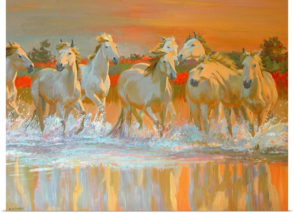 Landscape canvas wall art of wild, white horses galloping through water at sunset.