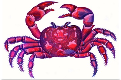 Cancer The Crab, 1996