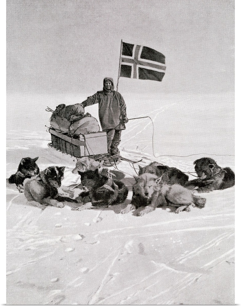 Captain Roald Engelbregt Gravning Amundsen (1872-1928) at the South pole under the Norwegian flag. Norwegian explorer of t...